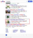关键词：天津绿植租摆